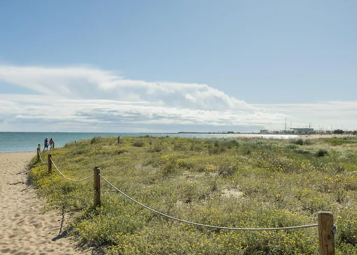 Primera Linea Albamar -serviden *