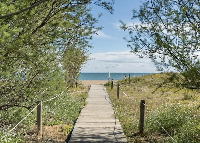 Primera Linea Albamar -serviden 德尼亚