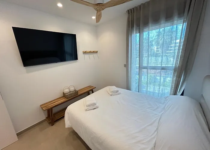 Primera Linea Albamar -serviden *